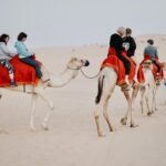 Desert Safari Abu Dhabi