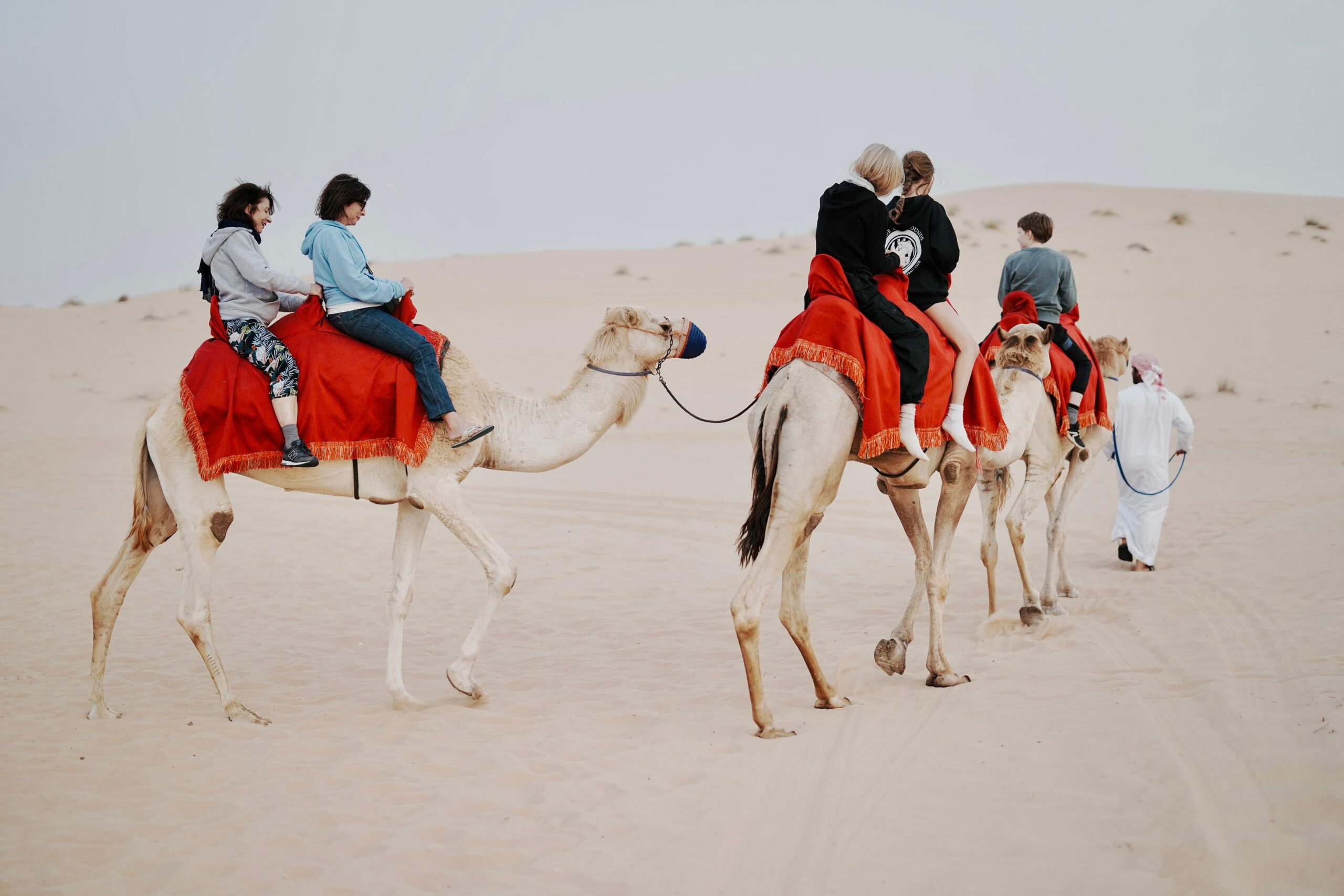 Desert Safari Abu Dhabi – Prices, Pickup From Dubai and What Actually Happens [2026]